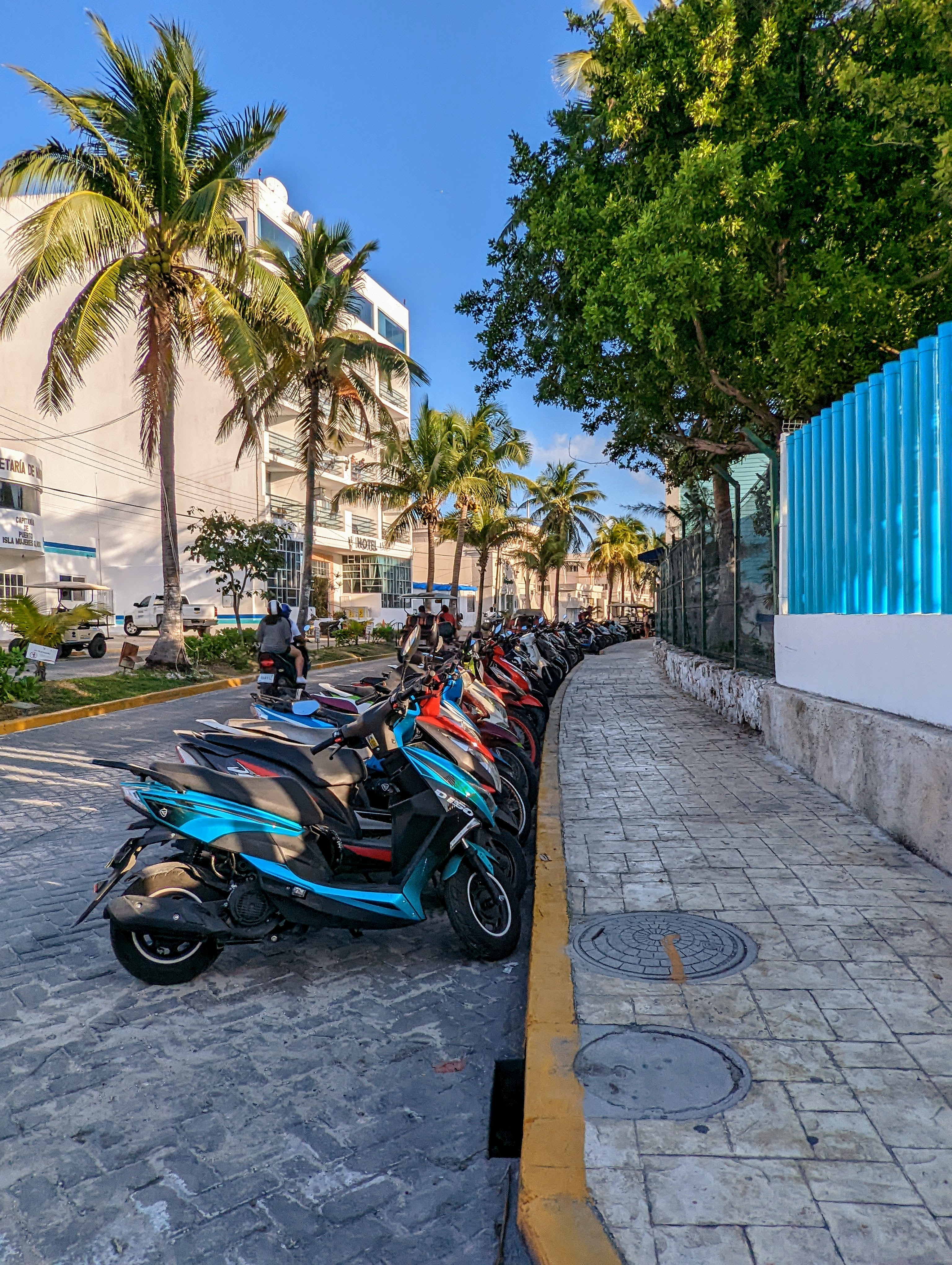 a photo of a row of motorcycles lining a street with palm trees in Isla Mujeres