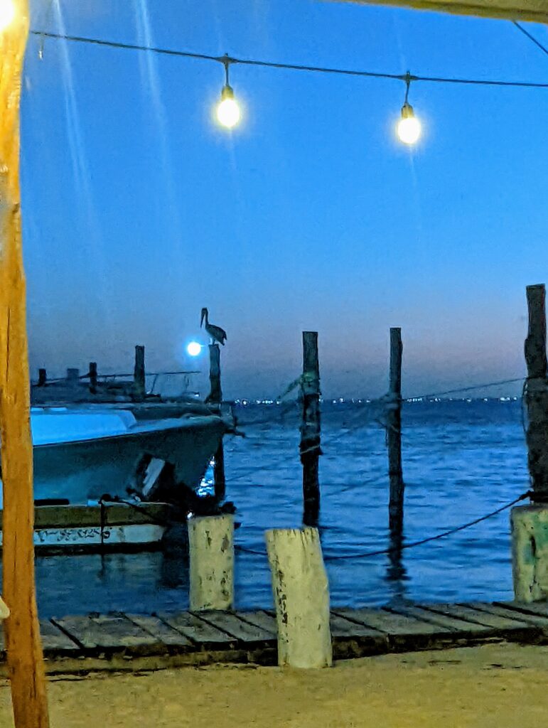 a view off the island of Isla Mujeres near the ferry dock