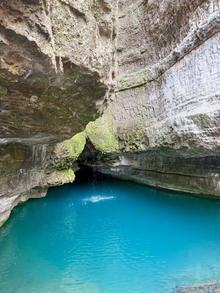 the natural spring at Roaring River State Park in Missouri
