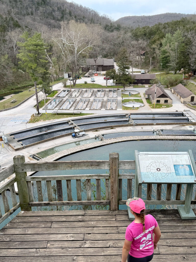A birds eye view of the Roaring River State Park trout hatchery