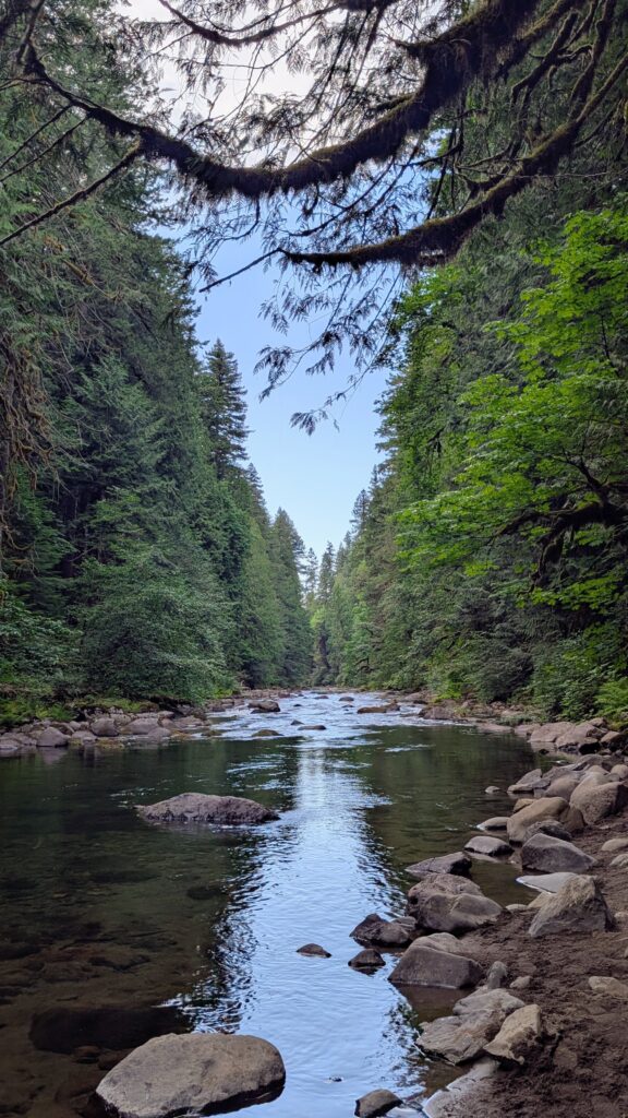 a stream near Mount Hood