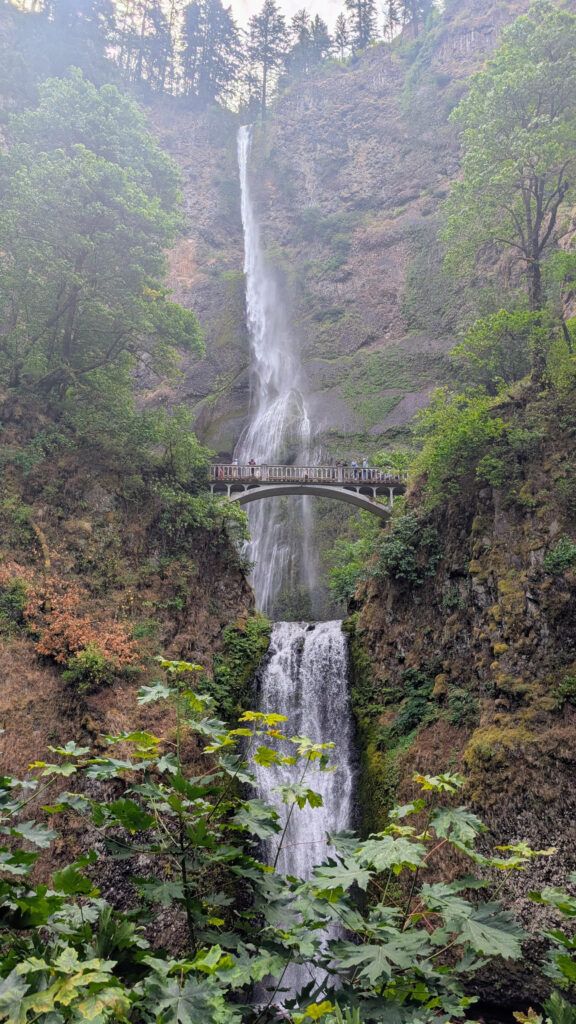 multnomah falls in the columbia river gorge, oregon